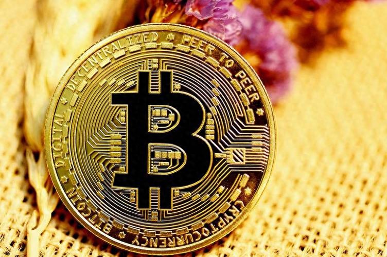 多元化货币体系_通过虚拟货币进行资产多元化：投资组合优化的新选择_通过虚拟货币进行资产多元化：投资组合优化的新选择