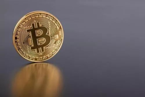 数字货币的兴起与监管：加密货币的未来发展与央行政策解析