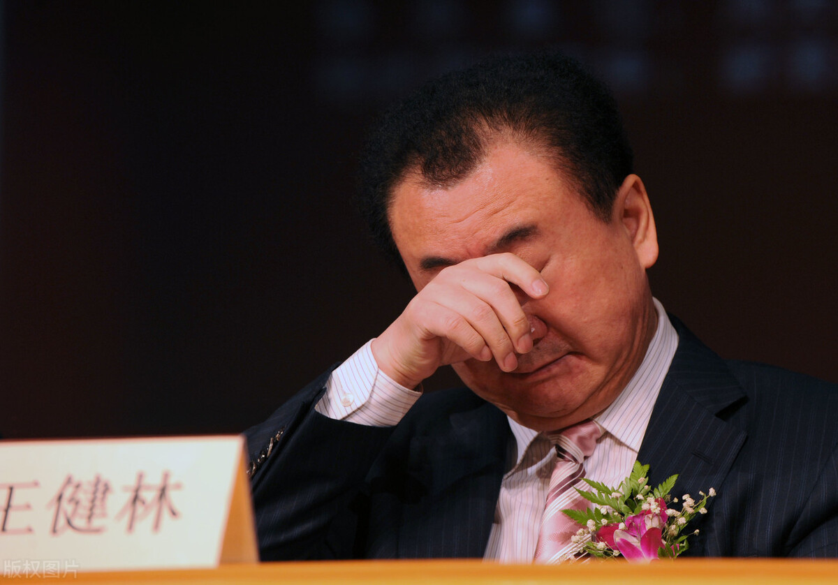 王健林企业家精神_王健林的社会责任与企业道德_王健林企业家