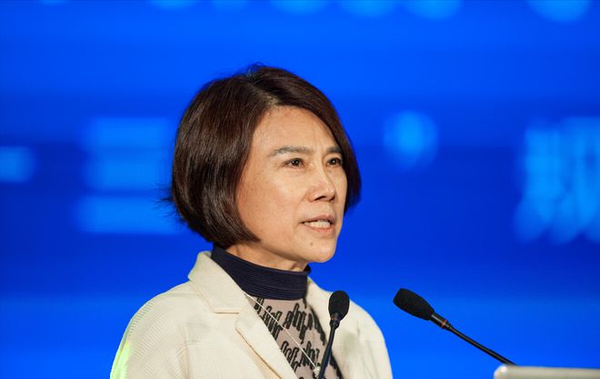 董明珠与国企变革，国企转为私企背后的原因，董明珠与国企变革，国企转为私企背后的深层原因探究