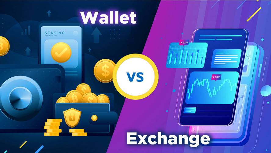 投资加密货币热门，Trust Wallet助新手成专业投资者指南
