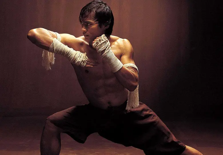 张晋武术_张晋武术表演视频_张晋的武术风格与动作设计