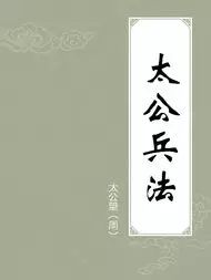 张良与谋士的比较与分析_张良的谋略有什么特征_张良谋士的最高境界