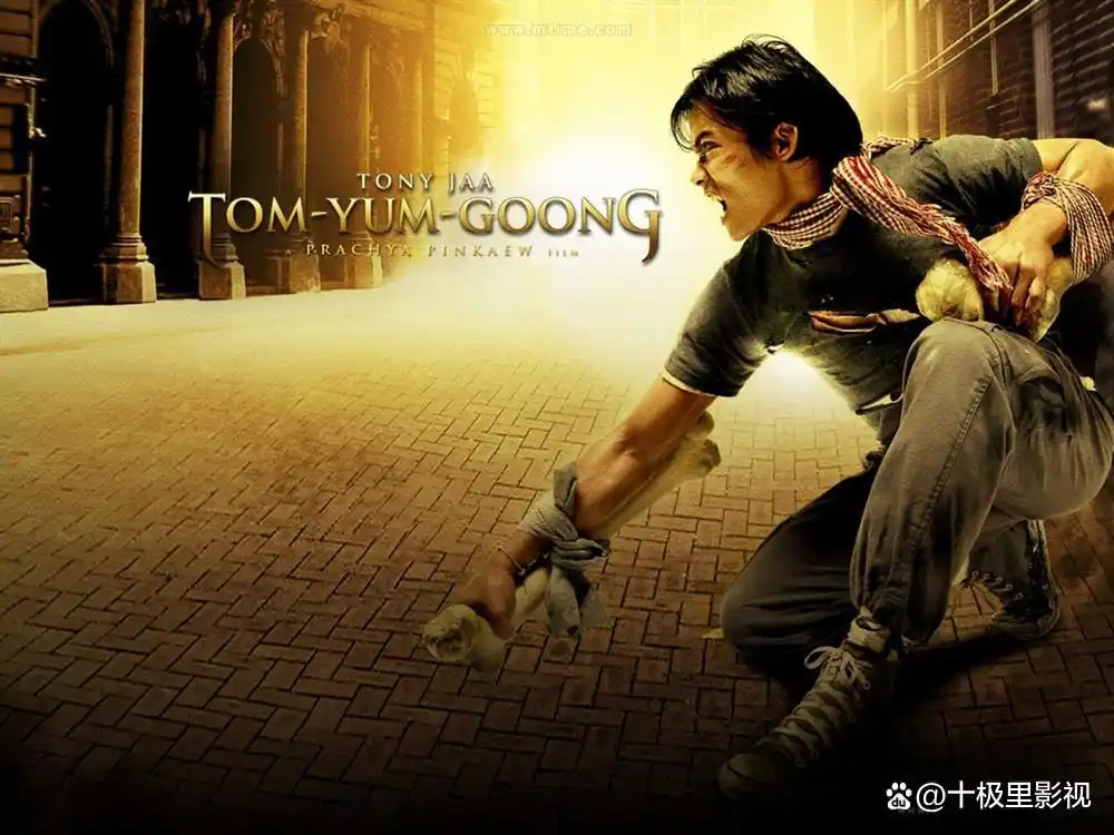 吴樾图片_明星吴樾照片_吴樾与国际明星的合作