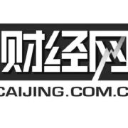2024年1月荣耀召开发布会及开发者大会，高德董振宁参会分享大模型应用方向洞见
