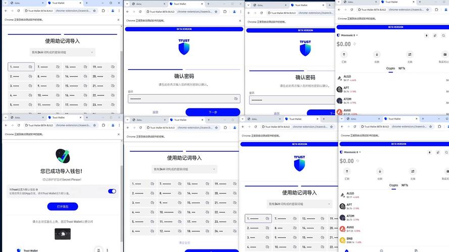 Trust Wallet下载用户：客户支持迅速消除操作困惑，专业解答超实用