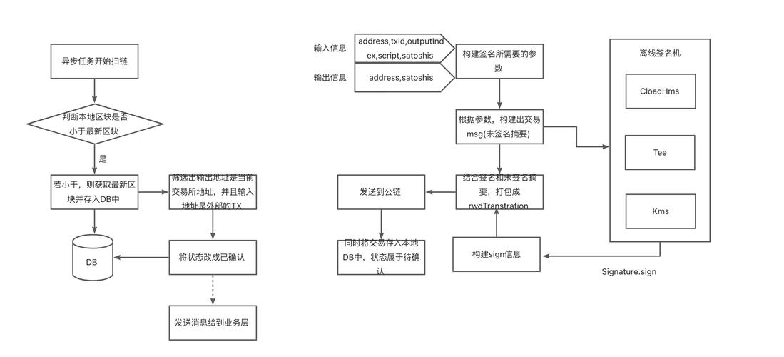 Trust Wallet钱包投资区块链项目的实际操作经历与启示