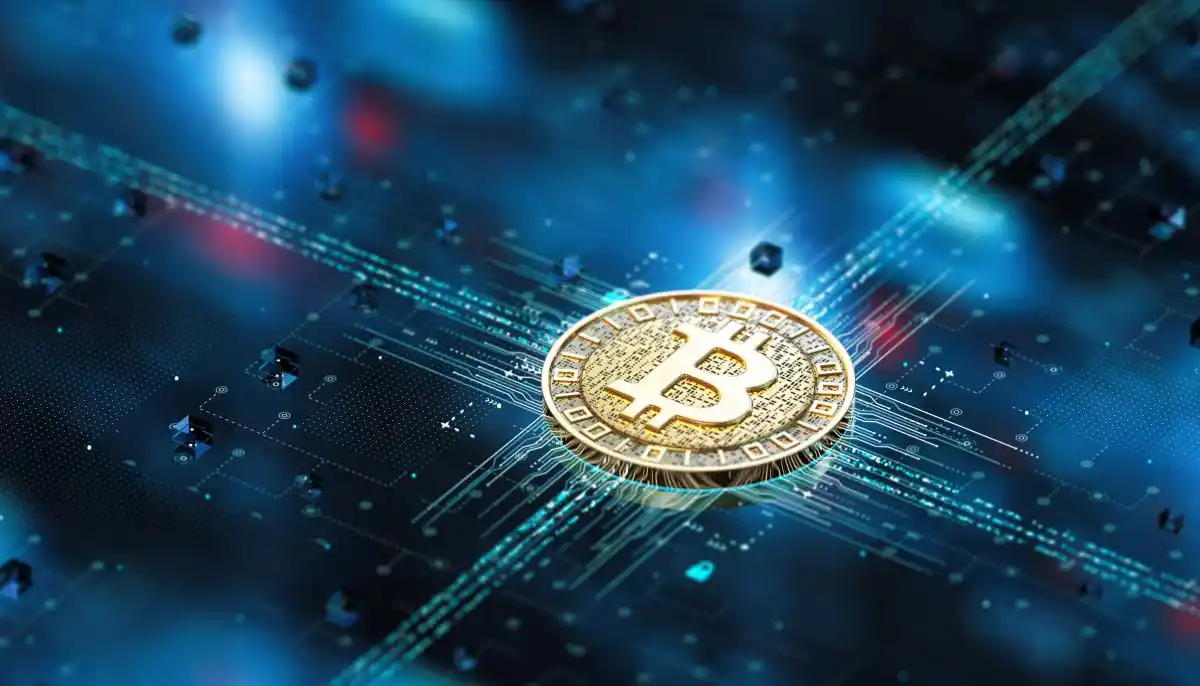 数字货币能否击败传统货币？未来市场趋势分析与探讨