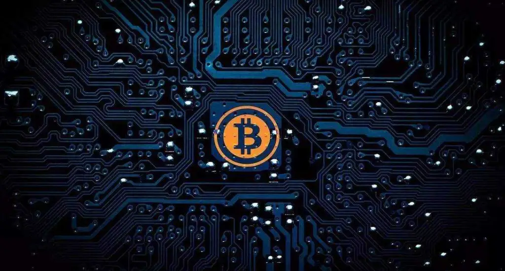数字货币的流通性与交易效率_数字货币货币流通速度_流通的数字货币有哪些