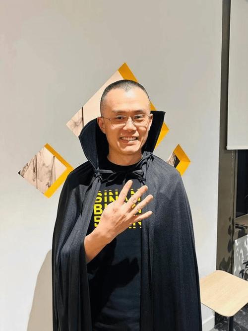 比特币的技术基础与市场表现:数字货币之王的崛起与未来潜力_比特币或再度大幅飙升_比特币起伏