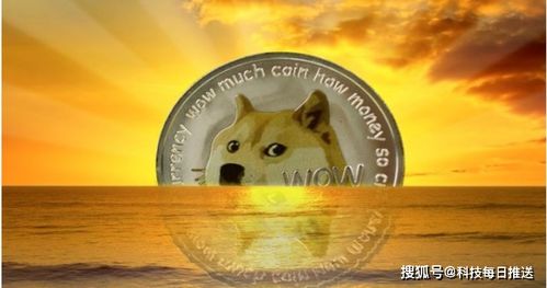 狗币与屎币：从小众到暴富，揭秘两大数字货币的惊人涨幅与发展历程