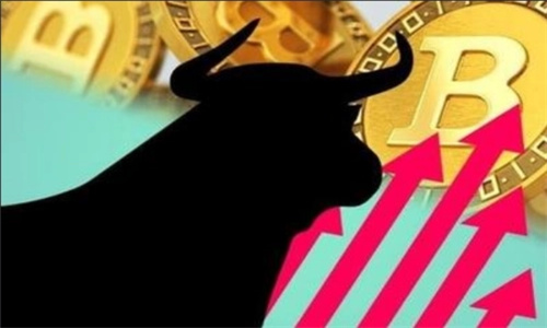 2023年最看好的币 下一个牛市会暴涨的币
