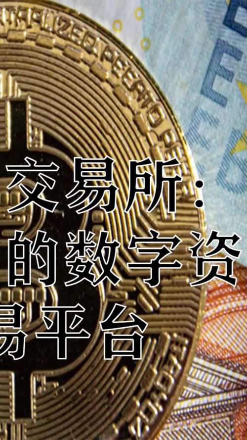 Trust Wallet：国际数字资产支付新宠，操作简洁交易快