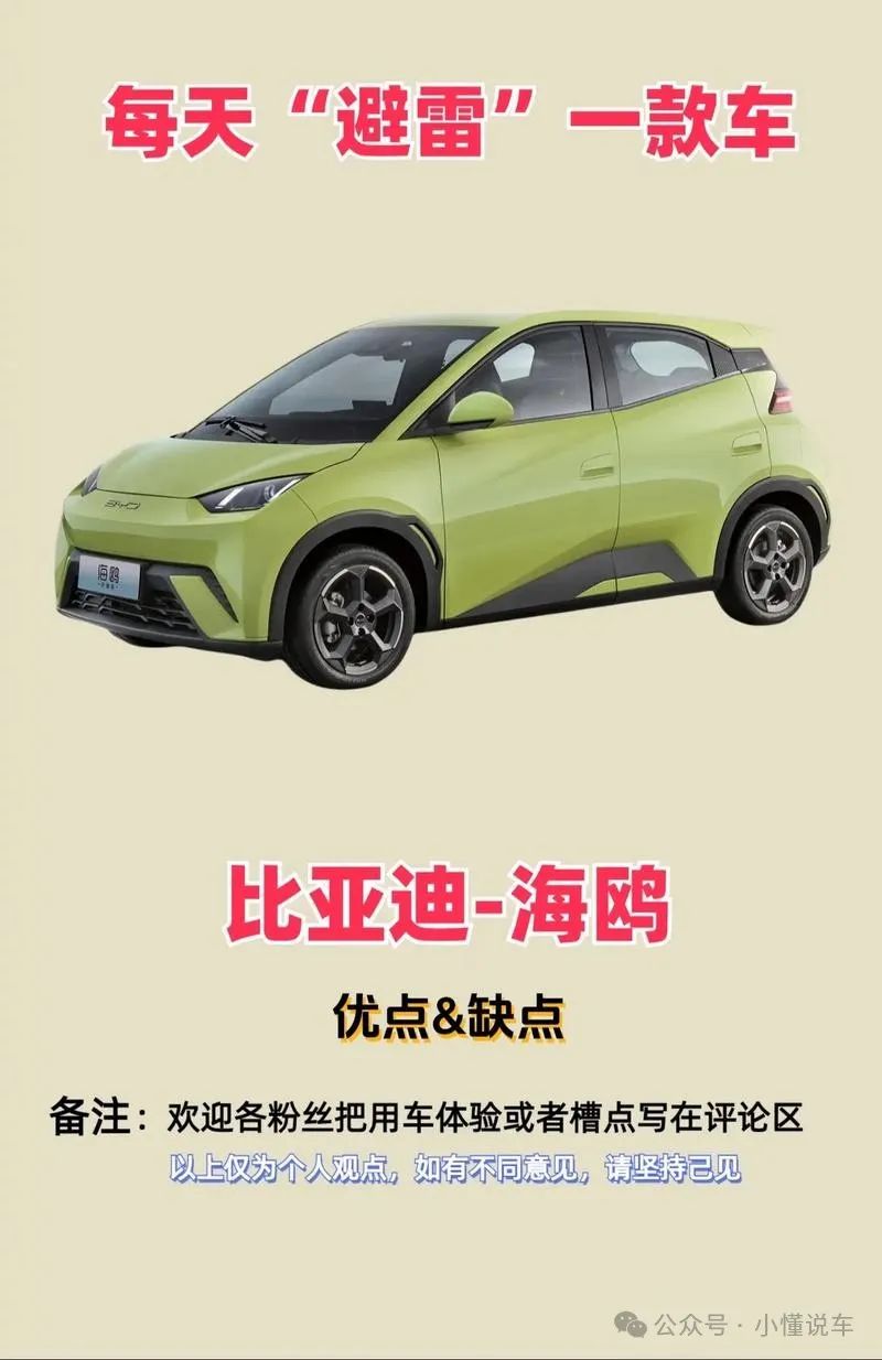 海鸥比亚迪推出影响市场的原因_比亚迪海鸥的推出对市场的影响_海鸥比亚迪